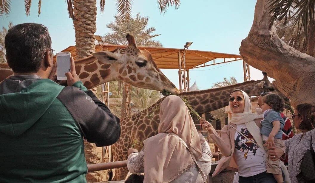Wildlife Encounters That Inspire Conservation