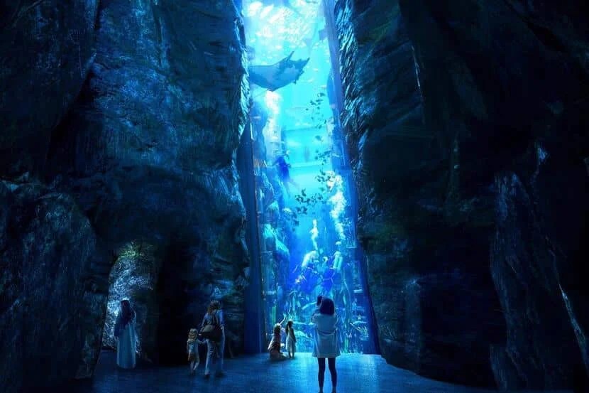 Incredible Marine Life Displays