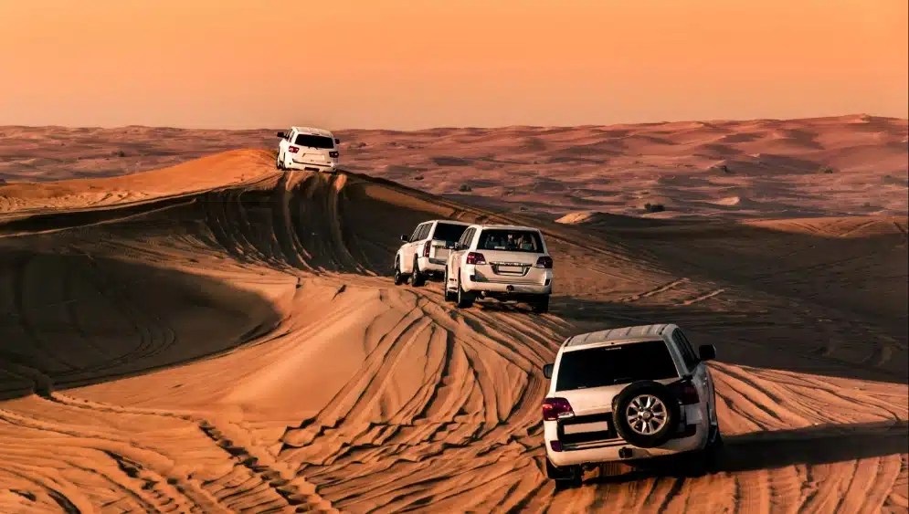 Desert Safari