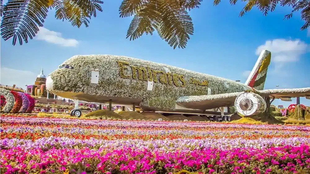 Miracle Garden