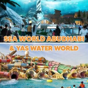 Yas Island Theme Park Tickets Duo Pass
