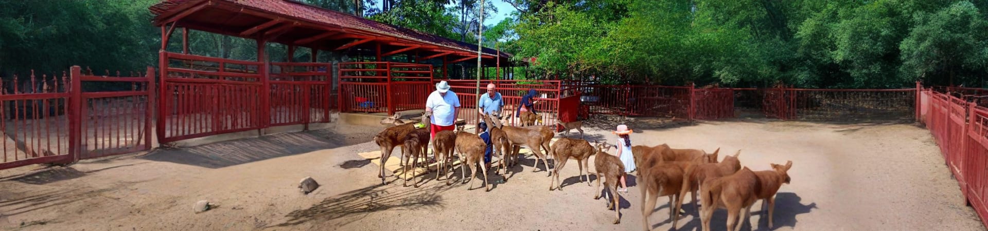 Langkawi Wildlife Park