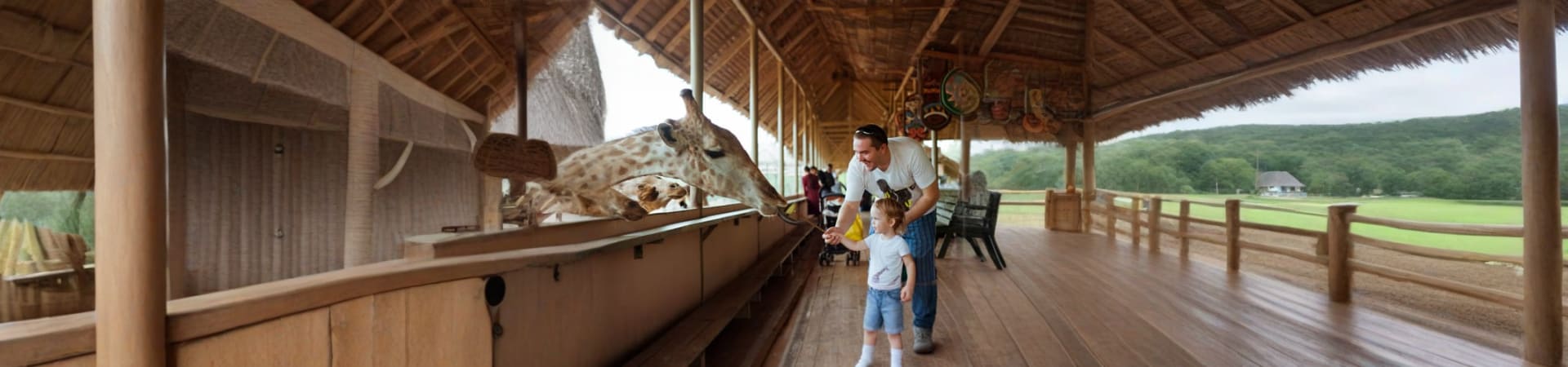 Safari World
