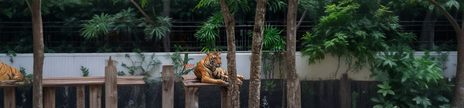 Tiger park