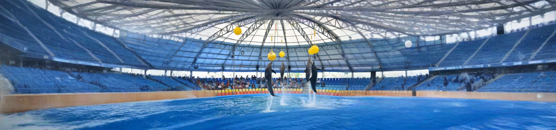 Dolphin Bay