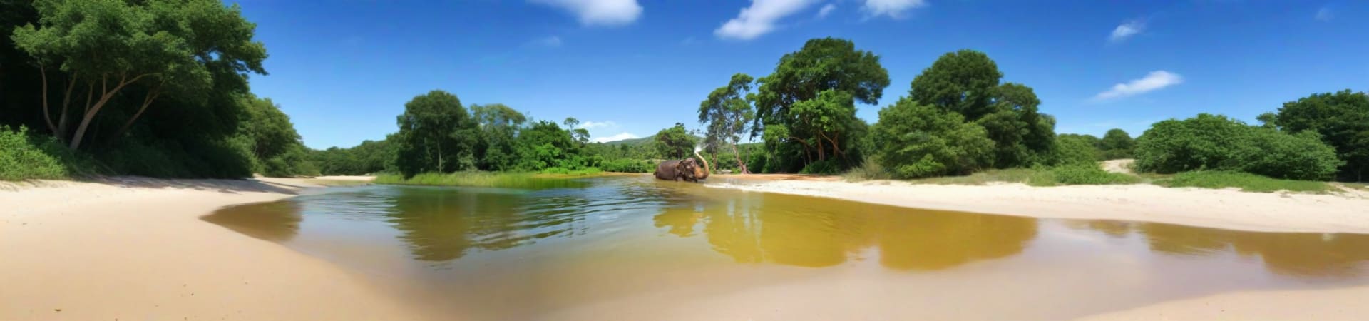 Pattaya Elephant Sanctuary