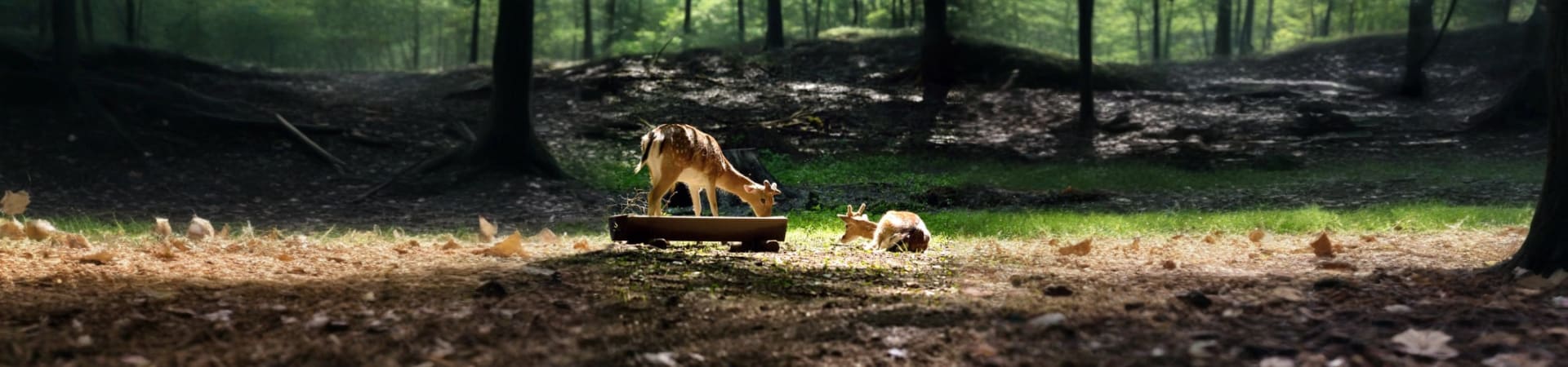 Khao Kheow Zoo