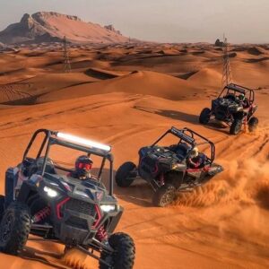 Desert Dominator Ride Buggy Adventure