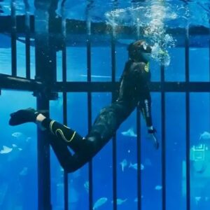Deep Dive Dubai | Snorkelling