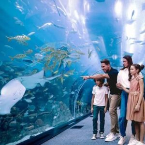 Dubai Aquarium and Underwater Zoo