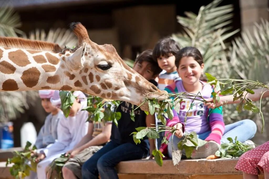 Hidden Gems of UAE: Unique Day Tours Beyond the Theme Parks and Water Parks