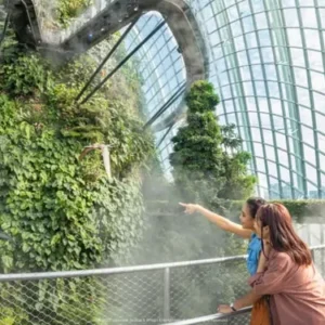 Cloud Forest indoor waterfall at Gardens by the Bay Singapore