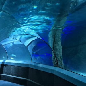 Underwater viewing tunnel at The National Aquarium Abu Dhabi