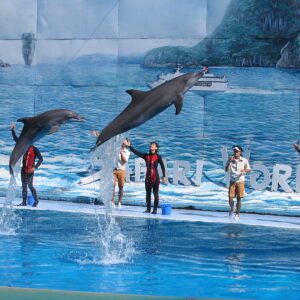 Safari World Bangkok open air zoo with animals in Safari Park