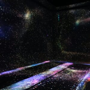 Immersive light installation similar to teamLab Phenomena Abu Dhabi